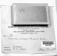 Image Associated With the Occurence